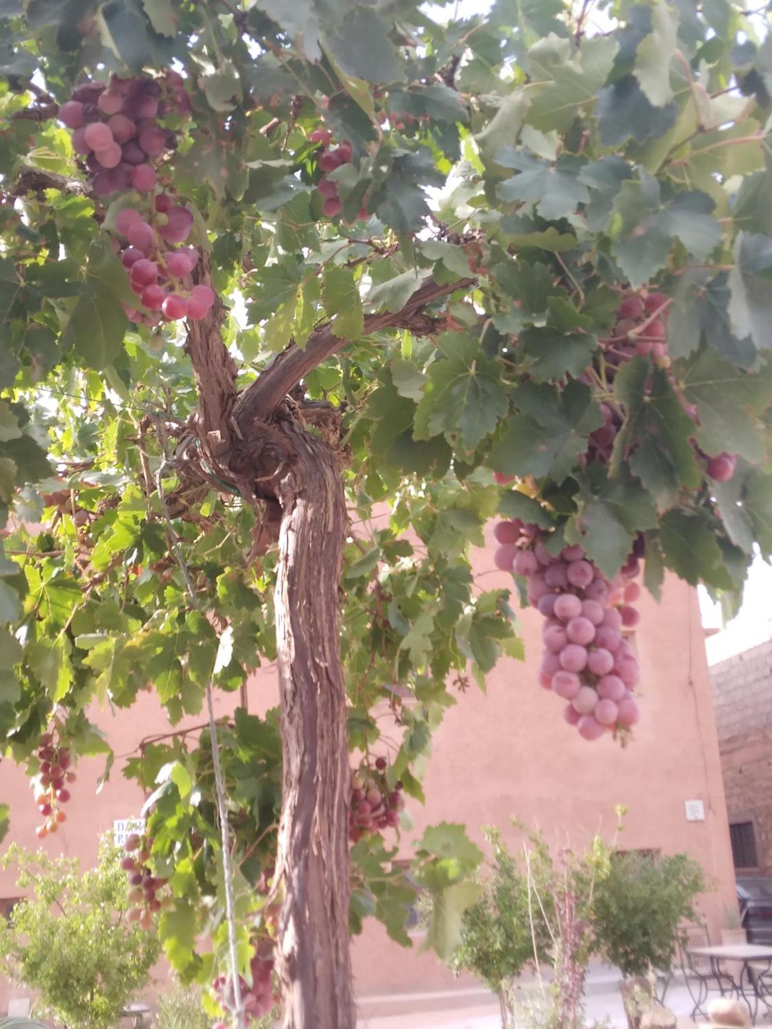 Dar Bilal Hotell Ait Benhaddou Exteriör bild